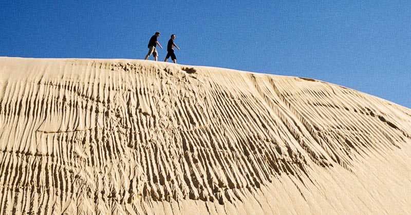 Sand Dune Adventures